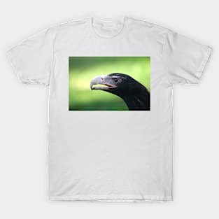 Wedge Tail Portrait T-Shirt